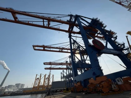 WhatsApp Image 2026-02-13 at 15.53.33