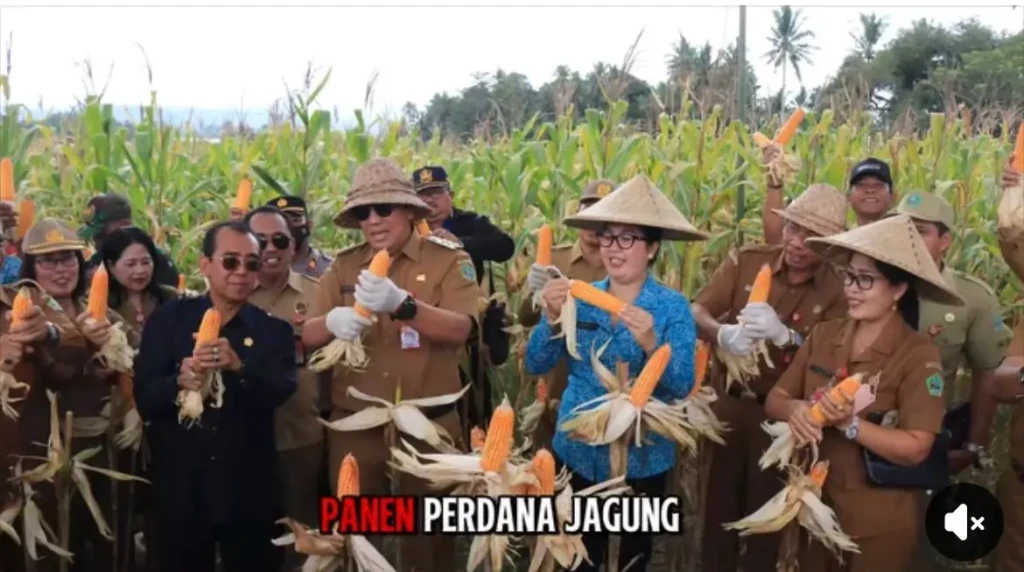 WhatsApp Image 2026-04-20 at 17.53.19