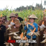 WhatsApp Image 2026-04-20 at 17.53.19