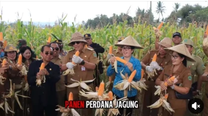 WhatsApp Image 2026-04-20 at 17.53.19